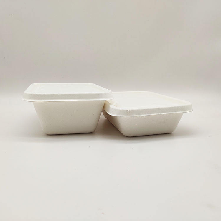 Прямые продажи с фабрики, ланч-бокс, одноразовые бумажные контейнеры для пищевых продуктов, раскладушка из целлюлозы из сахарного тростника