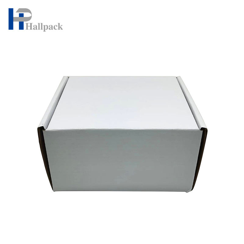 Изготовленная на заказ Биодеградабле роскошная складная подарочная коробка для почтовой коробки самолета
