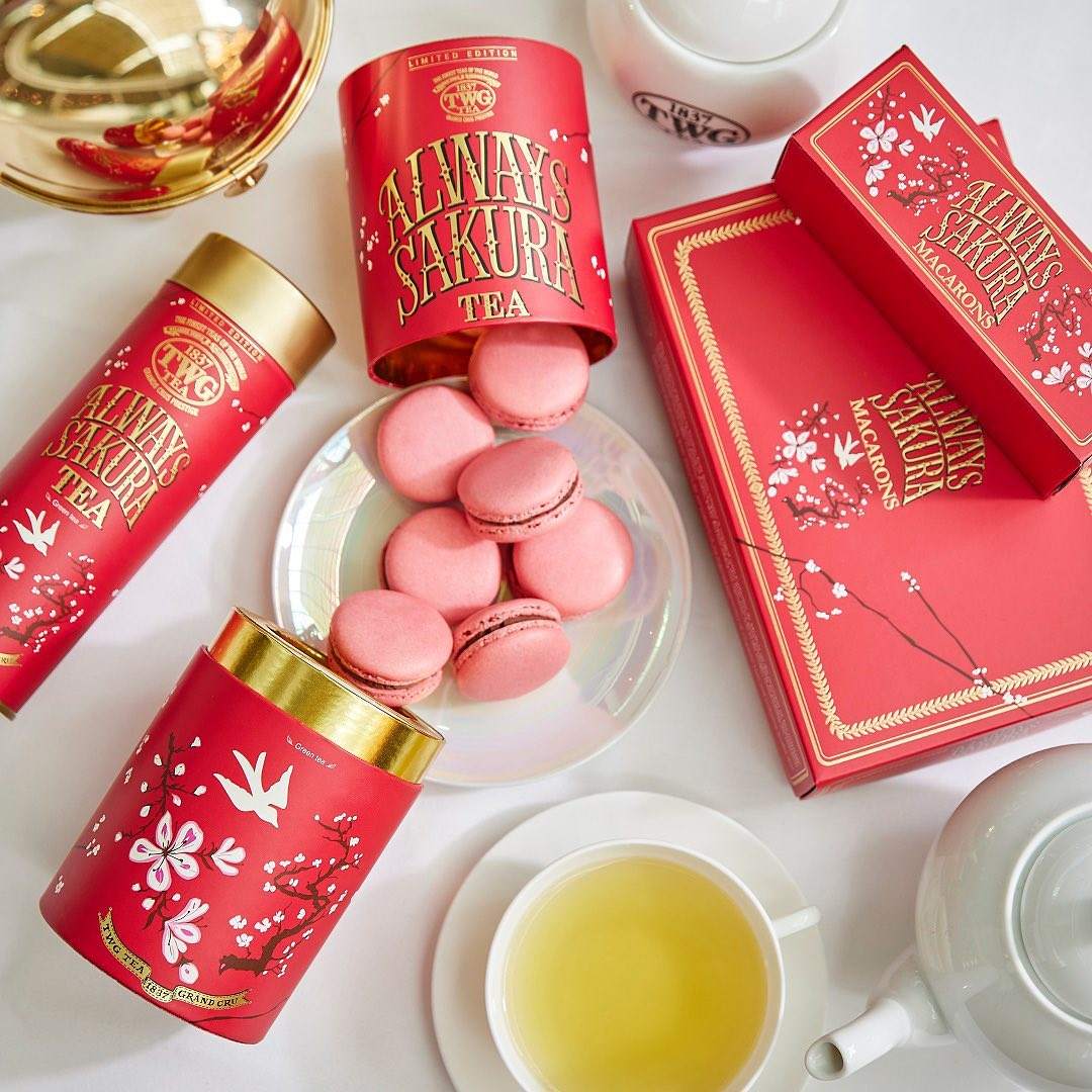 Биоразлагаемая пищевая упаковка для чая в цилиндрах. Высококачественная упаковка из бумажных туб на заказ. Картонная упаковка для туб для чая, кофе.