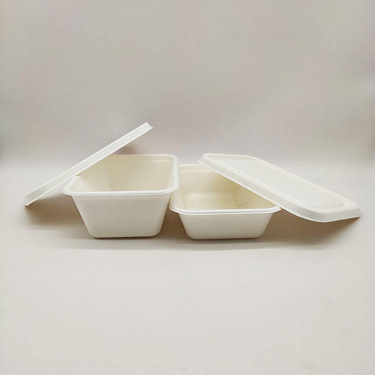 Прямые продажи с фабрики, ланч-бокс, одноразовые бумажные контейнеры для пищевых продуктов, раскладушка из целлюлозы из сахарного тростника