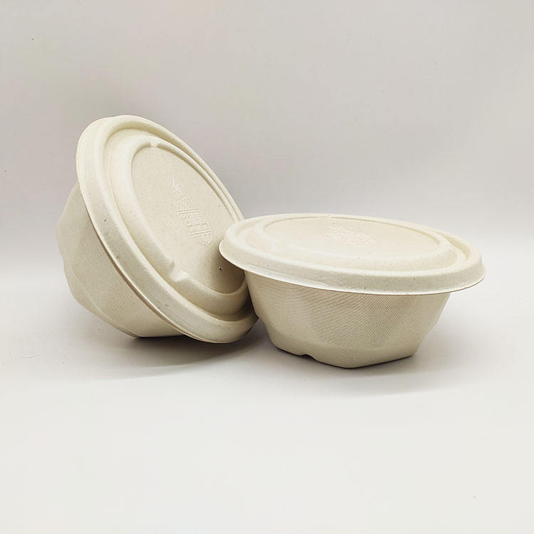 Заводская поставка сахарного тростника раскладушка безопасные одноразовые контейнеры для пищевых продуктов из бумажной массы